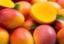 mangoes